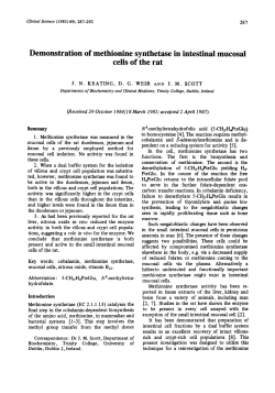 Demonstration of methionine synthetase in