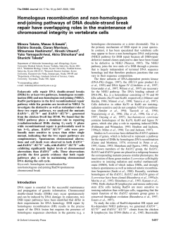 Homologous recombination and non-homologous end