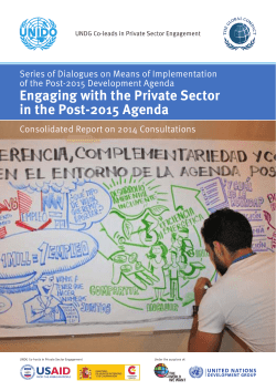 Engaging with the Private Sector in the Post-2015 Agenda