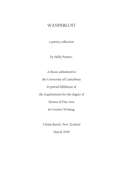 HollyPainter-MFAthesis-31March2009