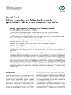 Cellular Homeostasis and Antioxidant Response in Epithelial HT29