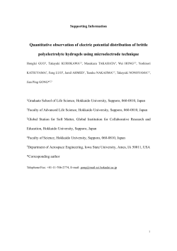 Quantitative observation of electric potential distribution of brittle