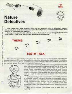 Nature Detectives