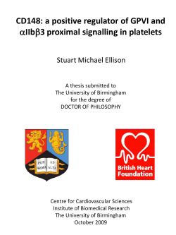 CD148 positively regulates GPVI and aIIbb3 proximal signalling in