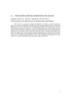 L.1. MECHANISMS of REPAIR of ENDOGENOUS DNA DAMAGE