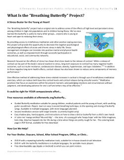 Printable Info Sheet - Elfenworks Foundation