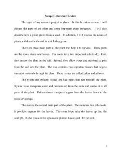 Sample Literature Review The topic of my research project is plants