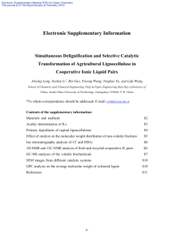 Electronic Supplementary Information