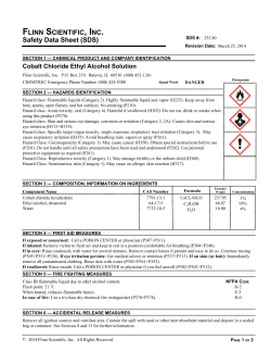 SDS 07.19 (FSI-FILE)
