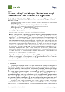 Understanding Plant Nitrogen Metabolism through Metabolomics