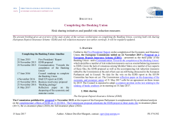 Completing the Banking Union - Risk sharing initiatives and parallel