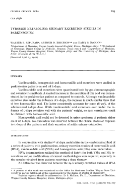 as a PDF