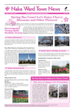 Spring Has Come! Let`s Enjoy Cherry Blossoms and Other Flowers!