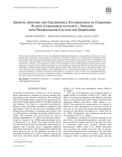 growth, anatomy and chlorophyll fluorescence of coriander plants