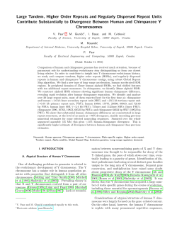 Large tandem, higher order repeats and regularly dispersed