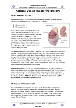 Addison`s Disease - the Bilton Veterinary Centre