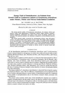 Energy Yield of Denitrification: An Estimate from