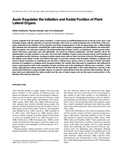 Auxin Regulates the Initiation and Radial Position of Plant Lateral