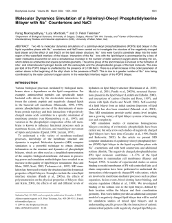 Molecular Dynamics Simulation of a Palmitoyl