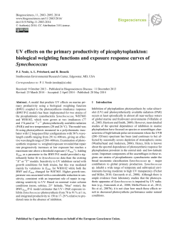 UV effects on the primary productivity of