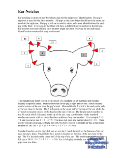 Ear Notches - Showpig.com