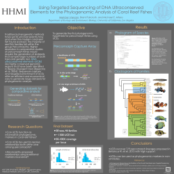 Percomorph Capture Array Phylogram of Species Cladogram of