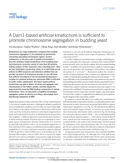 A Dam1-based artificial kinetochore is sufficient to promote