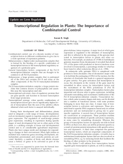 Transcriptional Regulation in Plants: The Importance of