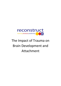 The Impact of Trauma on Brain Development and