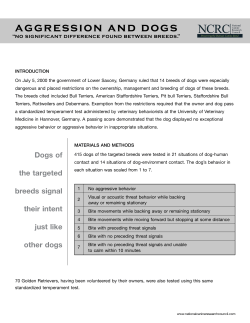 aggression and dogs - Boise Bully Breed Rescue
