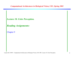 Color Perception