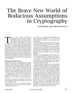 The Brave New World of Bodacious Assumptions in Cryptography