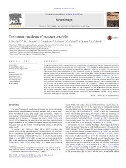 The human homologue of macaque area V6A
