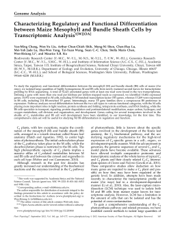 Characterizing Regulatory and Functional Differentiation between