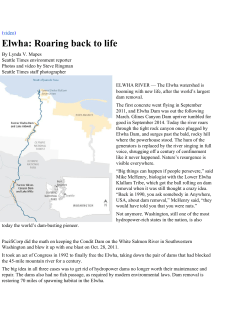 Elwha: Roaring back to life - Friends of Alewife Reservation