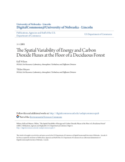 The Spatial Variability of Energy and Carbon Dioxide Fluxes at the