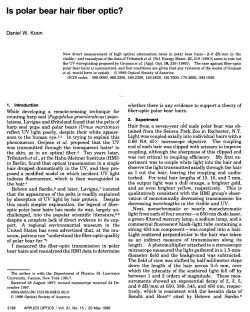 Is polar bear hair fiber optic?