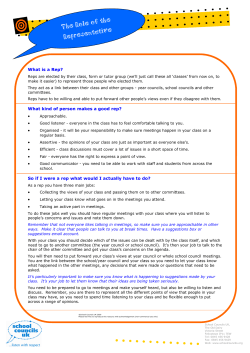 The Role of the Representative