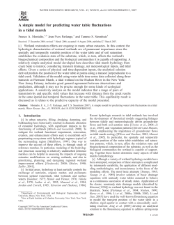 A simple model for predicting water table fluctuations in a tidal marsh