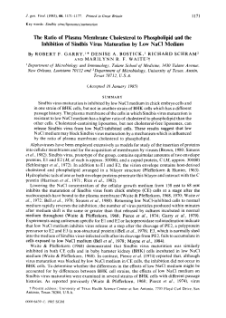 The Ratio of Plasma Membrane Cholesterol to Phospholipid and the