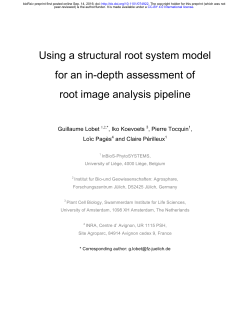 Using a structural root system model for an in-depth