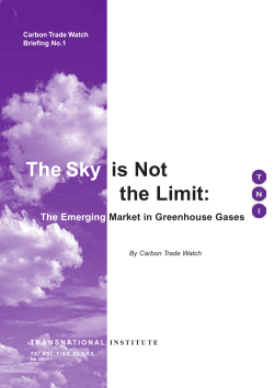 The Sky is Not the Limit: The emerging market in greenhouse gases
