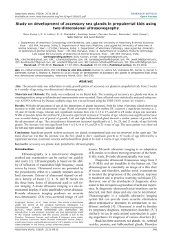 Study on development of accessory sex glands in