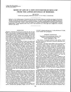 mode of life of a new onychochilid mollusc from the lower devonian