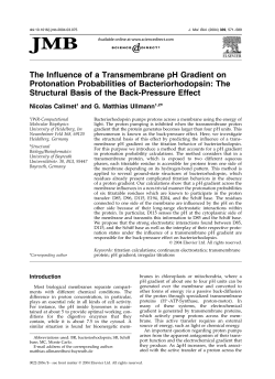The Influence of a Transmembrane pH Gradient on Protonation