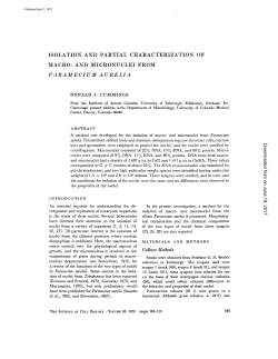 isolation and partial characterization of macro