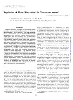 in Neurospora crassa*