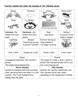 Practise reading and study the meaning of the following words