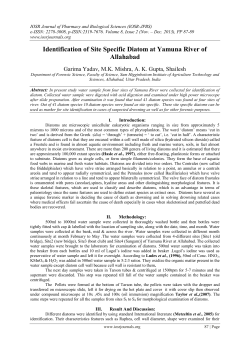 Identification of Site Specific Diatom at Yamuna River of Allahabad