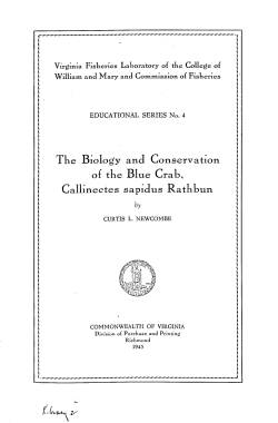 The Biology and Conservation of the Blue Crab, Callinectes sapidus